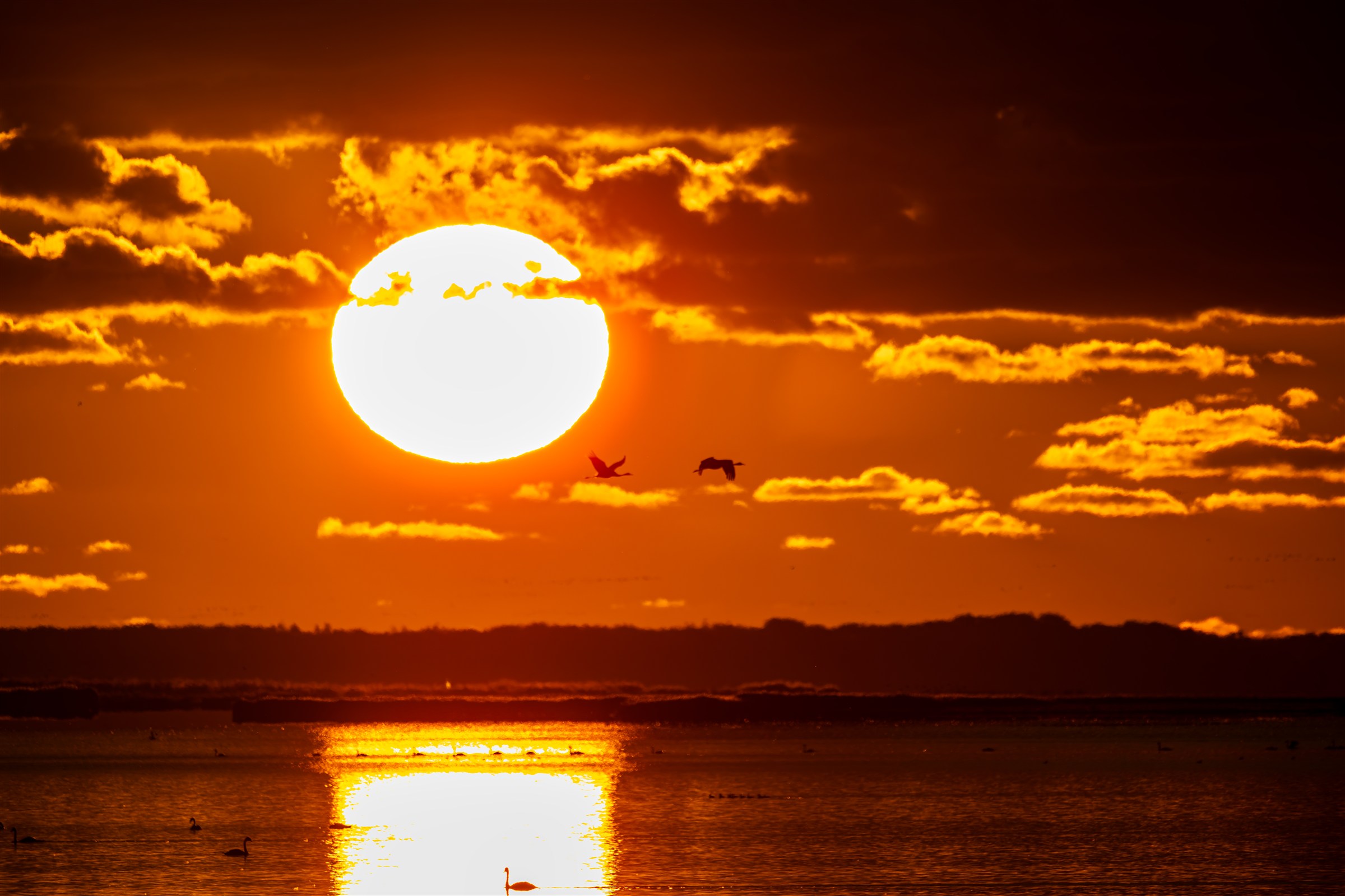Große orange Sonne über Wasser mit vorbeifliegenden Vögeln und dunklen Wolken